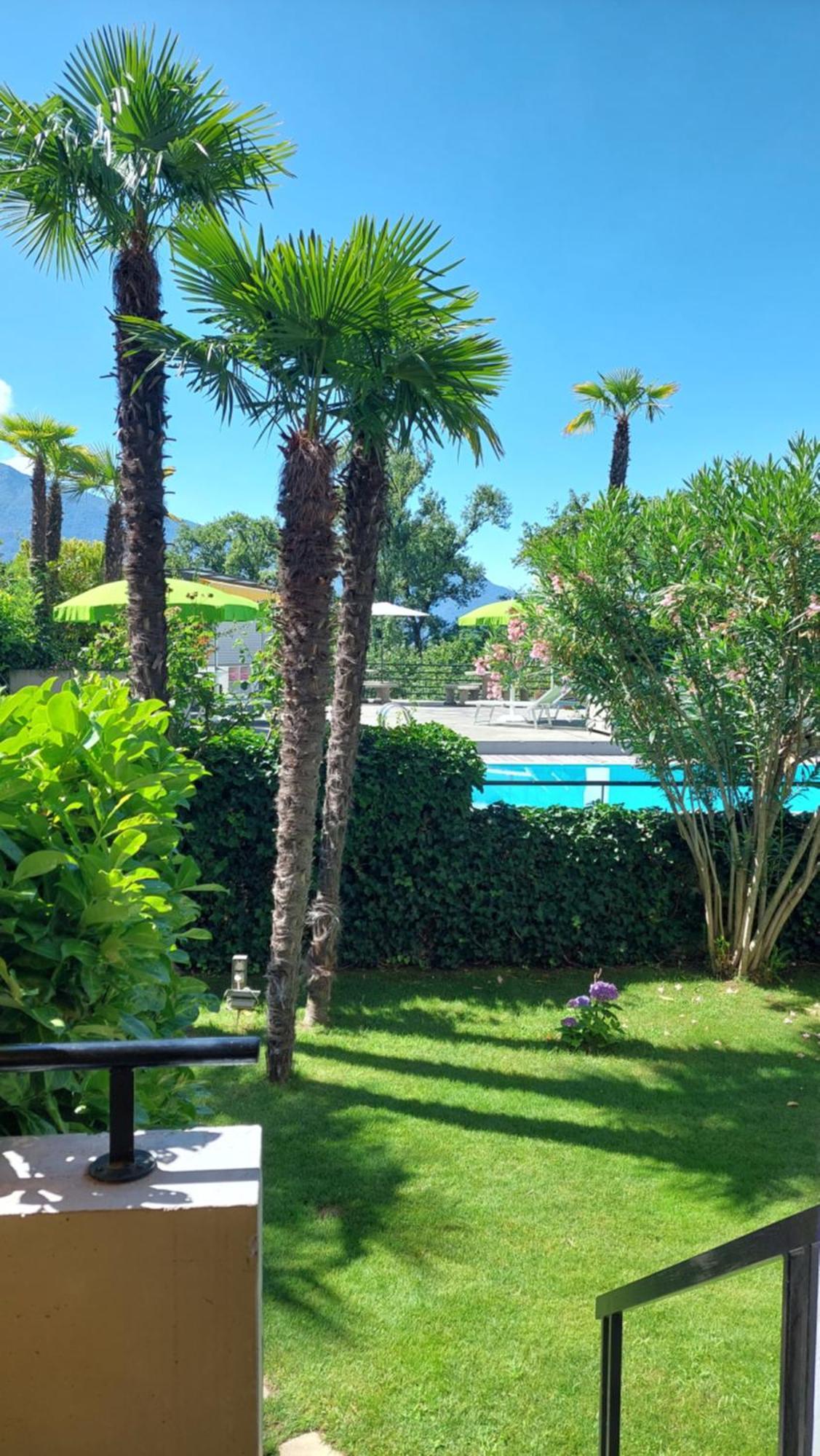 Hotel Nessi Λοκάρνο Εξωτερικό φωτογραφία